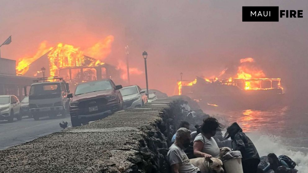 how many people died in maui fire