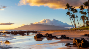 what part of maui has the best beaches